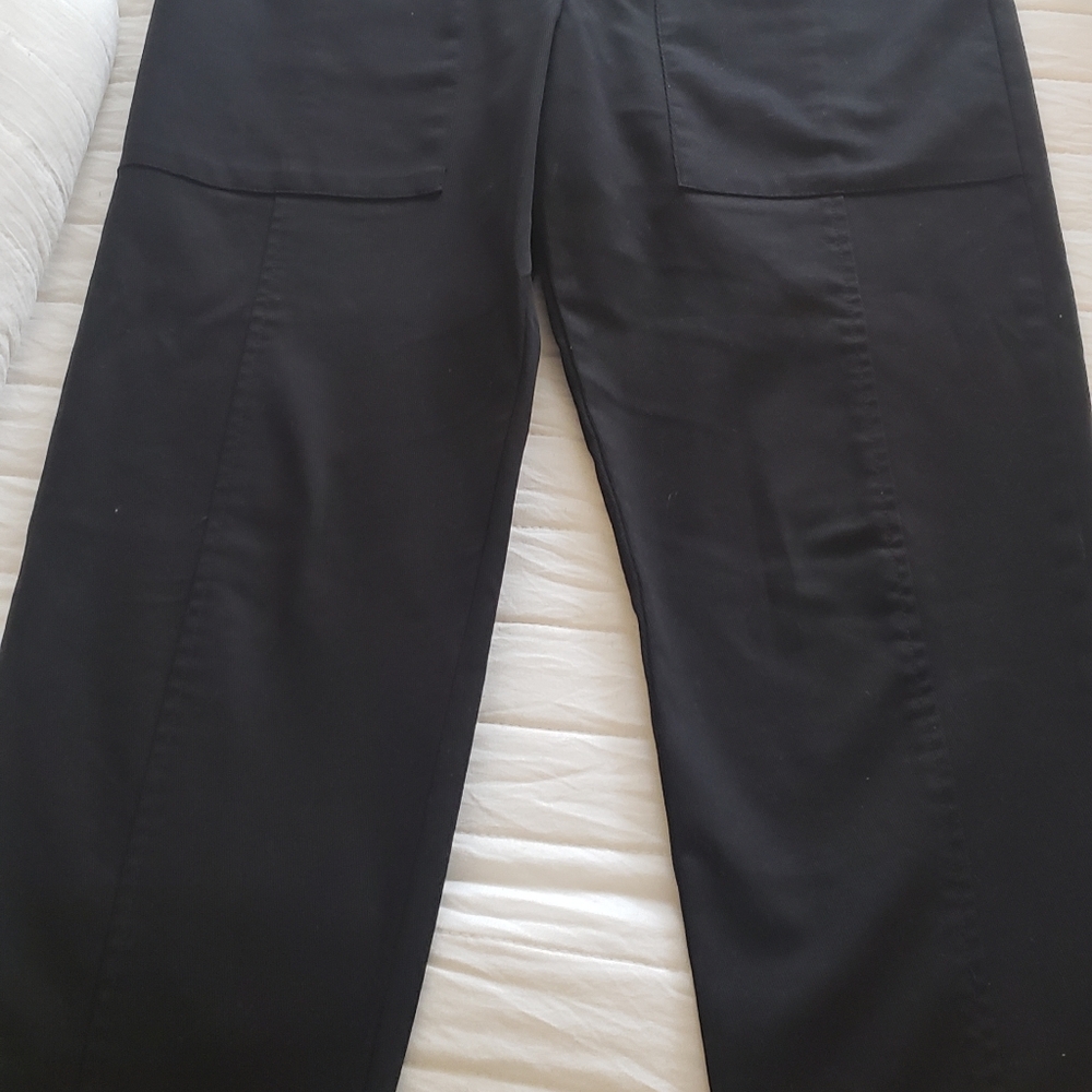 Zara black pants.